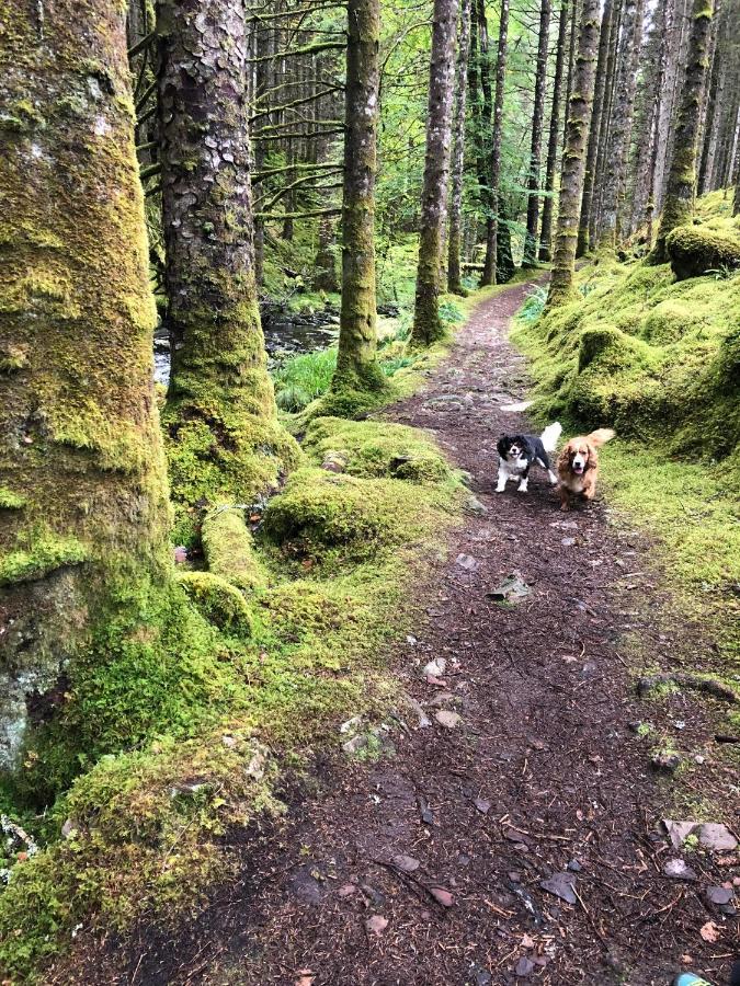 Foresters Lodge Bed And Breakfast, Near Loch Ness Inverfarigaig Buitenkant foto
